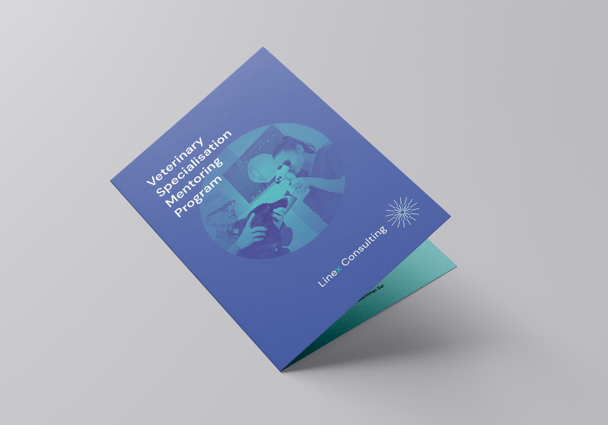 Flyer 1:1 Mentoring Programm